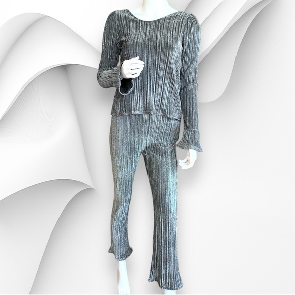 SOCIETY AMUSE SILVER METALLIC PLISSE PANTS & MATCHING TOP. WOMEN’S SIZE XS. NWT - Picture 1 of 11